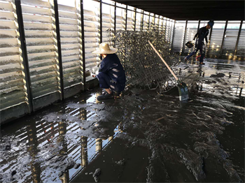 Repair the cooling tower chassis