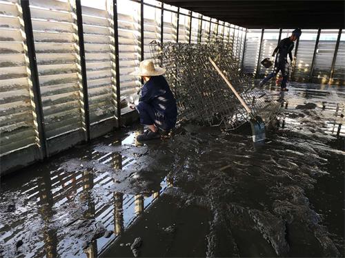 How to remove dirt on cooling tower packing?